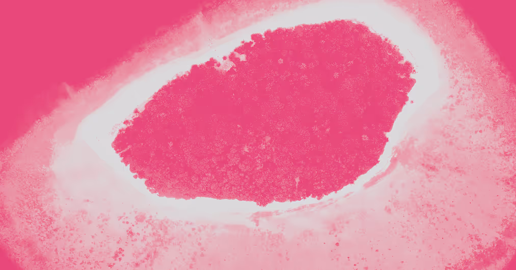 Imagen de un atolón en el océano en duotono rosa y blanco